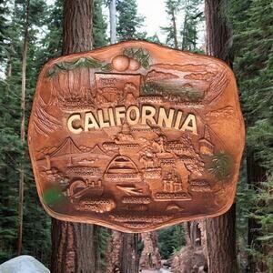 ASMCO USA VTG California Hard Plastic Wall Hanging Plaque Souvenir Plate Tray